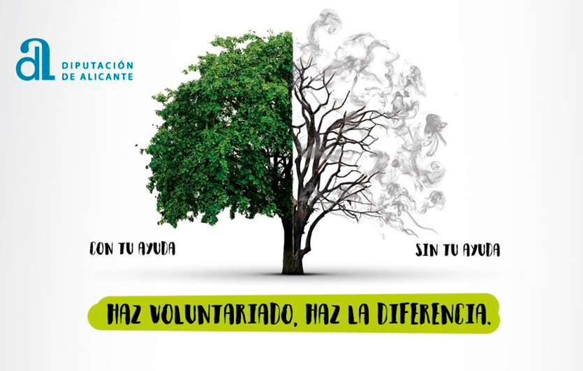 Voluntariado-Ambiental-2019-Diputación-Provincial-de-Alicante-Silvoturismo-Mediterráneo