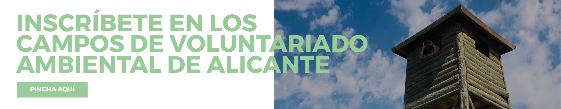BOTON_VOLUNTARIADO_AMBIENTAL _2023